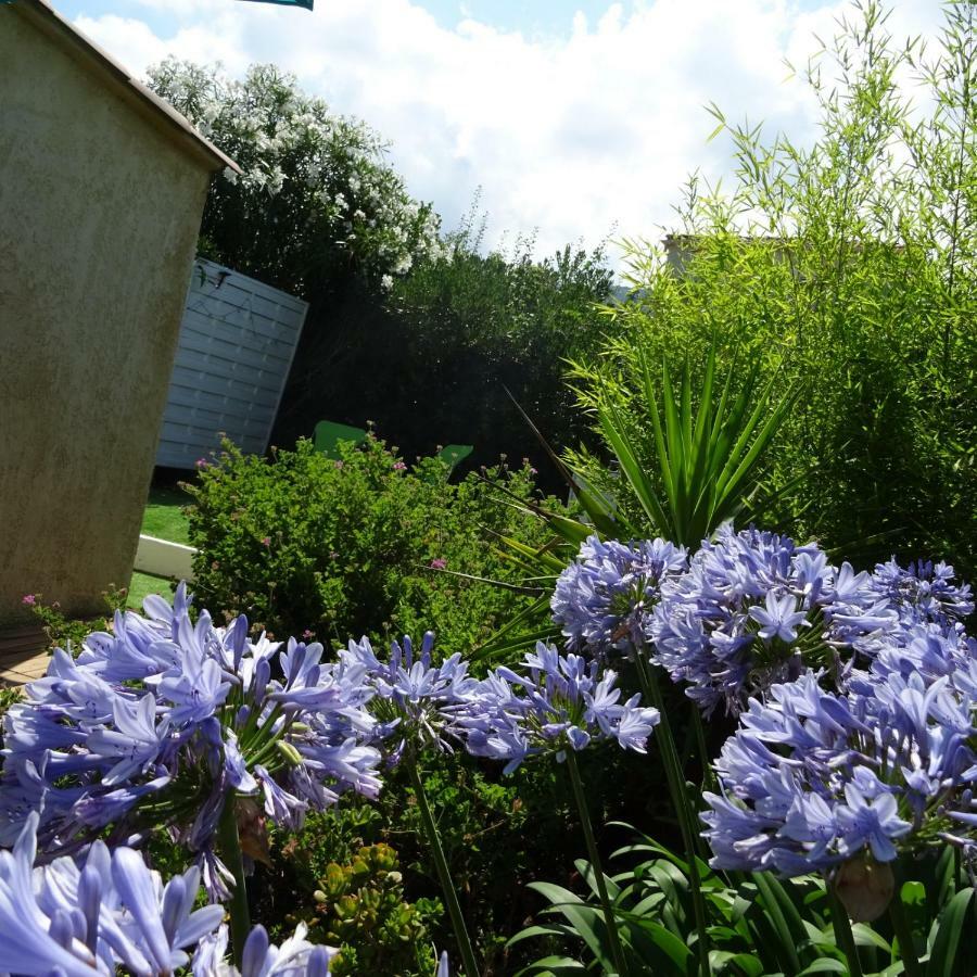 2 Pieces Independant Avec Son Jardinet Prive Borgo (Corsica) Exterior foto